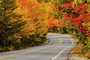 Road in Autumn, Acadia National Park, Maine, USA Road in Autumn, Acadia National Park, Maine, USA