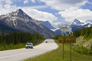 Road, Yoho National Park, British Columbia, Canada Road, Yoho National Park, British Columbia, Canada