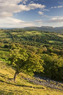 Rolling countryside surrounding the Usk Valley, Brecon Beacons National Park, Powys, Wales Rolling countryside surrounding the Usk Valley, Brecon Beacons National Park, Powys, Wales