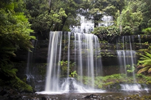 Russell Falls in Mount Field National Park Russell Falls in Mount Field National Park