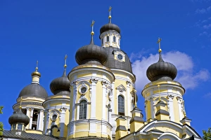 Russia, St Petersburg. Cupolas of the Vladimirsky Church Russia, St Petersburg. Cupolas of the Vladimirsky Church