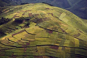 Rwanda. In the land of a thousand hills population density is at its highest Rwanda. In the land of a thousand hills population density is at its highest