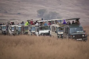 Safari tourists watching game on the Serengeti in Tanzania Safari tourists watching game on the Serengeti in Tanzania