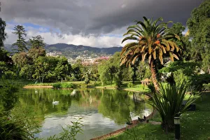 Santa Catarina gardens. Funchal, Madeira. Portugal Santa Catarina gardens. Funchal, Madeira. Portugal
