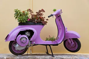 Scooter flower display, Symi Island, Dodecanese Islands, Greece Scooter flower display, Symi Island, Dodecanese Islands, Greece