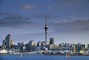 North Island Prints: Auckland Skyline Print