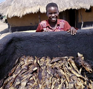 Small fish caught in Lake Albert are hot-smoked before Small fish caught in Lake Albert are hot-smoked before
