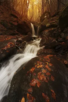 Small water stream in fall running through the Appennines in Emilia Romagna, Italy Small water stream in fall running through the Appennines in Emilia Romagna, Italy