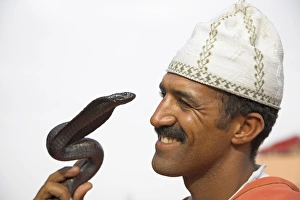 A snake charmer performs in the Djemaa el Fna, Marrakech A snake charmer performs in the Djemaa el Fna, Marrakech