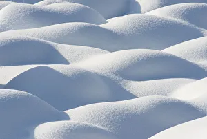 Snow-covered Boulders, Jasper National Park, Alberta, Canada