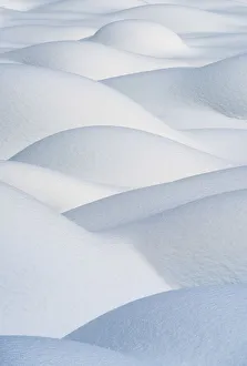 Snow Designs, Jasper National Park, Aberta, Canada