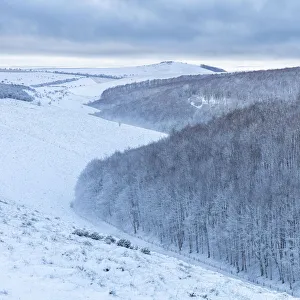 Snowy Melbury Down and Melbury Wood from Ashmore Down, Cranborne Chase, Dorset, England Snowy Melbury Down and Melbury Wood from Ashmore Down, Cranborne Chase, Dorset, England