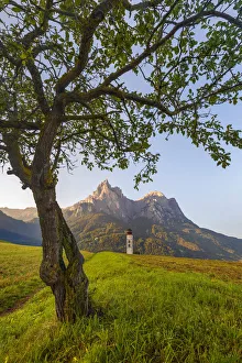 Solitary tree frame the Sciliar Dolomites, San Valentino church, Siusi Allo Sciliar Solitary tree frame the Sciliar Dolomites, San Valentino church, Siusi Allo Sciliar