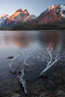 South America, Chile, Andes, Patagonia, Torres del Paine, UNESCO World Heritage South America, Chile, Andes, Patagonia, Torres del Paine, UNESCO World Heritage