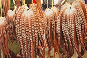 South Korea, Gyeongju, Gyeongju Market, Octopuses South Korea, Gyeongju, Gyeongju Market, Octopuses