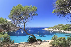 Spain, Balearic Islands, Ibiza, Cala Salada Beach Spain, Balearic Islands, Ibiza, Cala Salada Beach