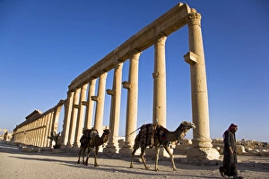 The spectacular ruined city of Palmyra, Syria The spectacular ruined city of Palmyra, Syria