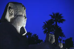 Sphinx avenue at Luxor Temple, Luxor, Egypt Sphinx avenue at Luxor Temple, Luxor, Egypt