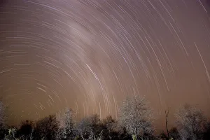 Star trails, Ruaha National park, Tanzania Star trails, Ruaha National park, Tanzania