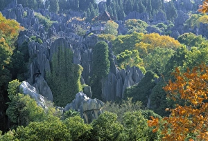Yunnan Province Tourism Prints: Stone Forest