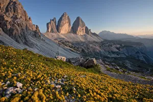 Summer sunset at Tre Cime di Lavaredo whit flowery field, Drei Zinnen Summer sunset at Tre Cime di Lavaredo whit flowery field, Drei Zinnen