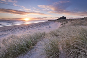 Prints of Sunrise over Bamburgh Beach and Castle from the sand dunes, Northumberland, England. Spring (March) Castle Prints: Print of Bamburgh Beach and Castle at Dawn, Northumberland