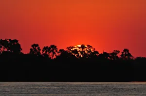 Sunset over water with palm trees, , Zambezi River, near Victoria Falls, Zimbabwe, Africa Sunset over water with palm trees, , Zambezi River, near Victoria Falls, Zimbabwe, Africa