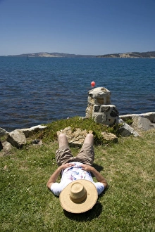 Tasmania Scenic Views Prints: Taking a siesta in the sun