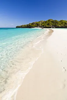 Tanzania, Zanzibar, Unguja, Niamembe Island Tanzania, Zanzibar, Unguja, Niamembe Island