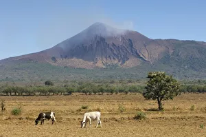 Telica Volcano, Leon department, northwestern Nicaragua Telica Volcano, Leon department, northwestern Nicaragua