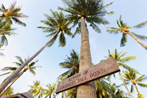 Thailand, Ko Samui, Chaweng beach, Sign on palm tree Thailand, Ko Samui, Chaweng beach, Sign on palm tree
