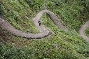 A tourist climbing the path to the Tango monastery near Thimpu, Bhutan A tourist climbing the path to the Tango monastery near Thimpu, Bhutan
