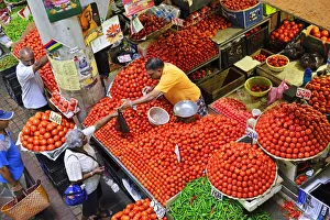 A tradesmen selling tomatos from his stall at the Big Vegetable Market, Port Louis A tradesmen selling tomatos from his stall at the Big Vegetable Market, Port Louis