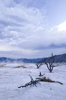 Travertine Terraces, Mammoth Hot Springs, Yellowstone National Park, Wyoming, USA Travertine Terraces, Mammoth Hot Springs, Yellowstone National Park, Wyoming, USA