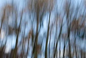 Trees reflected in the water, Yorkshire, UK Trees reflected in the water, Yorkshire, UK