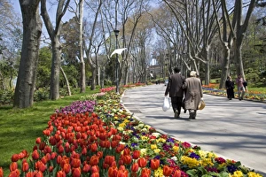Tulips bloom in Gulhane Park, Istanbul Tulips bloom in Gulhane Park, Istanbul
