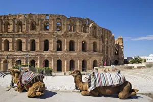Tunisia, El Jem, Camels in front of Roman Amphitheatre Tunisia, El Jem, Camels in front of Roman Amphitheatre