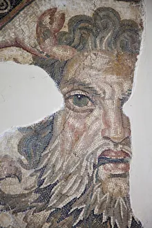 Tunisia, Tunis, Bardo Museum, Roman-era mosaics Tunisia, Tunis, Bardo Museum, Roman-era mosaics