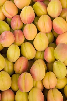 Turkey, Eastern Turkey, Malatya, Bazaar, Apricots Turkey, Eastern Turkey, Malatya, Bazaar, Apricots