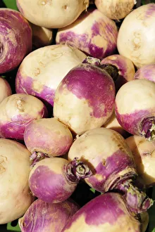 Images Dated 2011 August: Turnips Print from AWL