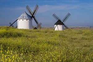 Campo De Criptana Spain Prints: Typical windmills, Campo de Criptana, Castilla-La Mancha, Spain