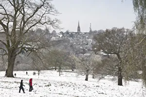 UK, England, London, Hampstead Heath in the snow UK, England, London, Hampstead Heath in the snow