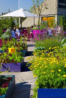 UK, England, London, Southbank Centre, Queen Elizabeth Hall Roof Garden UK, England, London, Southbank Centre, Queen Elizabeth Hall Roof Garden
