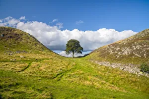 Hadrian's Wall Prints: Hadrian's Wall at Sycamore Gap Print, Northumberland