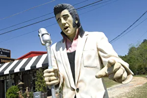 USA, Alabama, Dotham, Roadside Elvis Presley For Sale USA, Alabama, Dotham, Roadside Elvis Presley For Sale