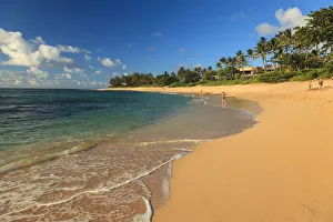 USA, Hawaii, Oahu, North Shore, Sunset Beach USA, Hawaii, Oahu, North Shore, Sunset Beach