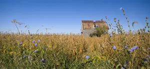 USA, Illinois, old Route 66, Odell, Barn USA, Illinois, old Route 66, Odell, Barn