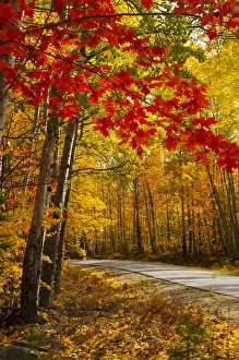 USA, Maine, Millinocket to Baxter State Park Road USA, Maine, Millinocket to Baxter State Park Road