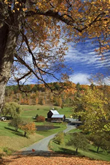 USA, New England, Vermont, Woodstock, Sleepy Hollow Farm USA, New England, Vermont, Woodstock, Sleepy Hollow Farm