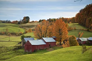 USA, New England, Vermont, Woodstock, Jenne Farm USA, New England, Vermont, Woodstock, Jenne Farm